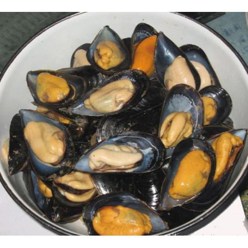 natural flavor hot sale frozen half shell mussels